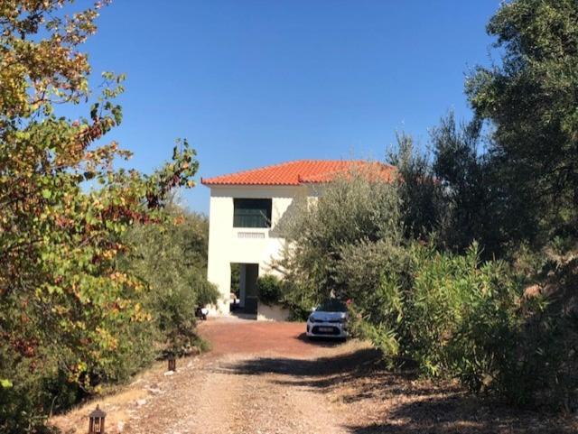 Vrises Kyparissia De Wandelboom别墅 外观 照片