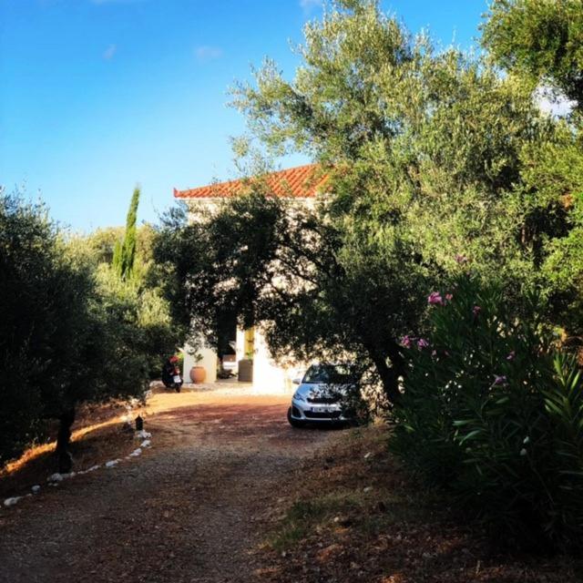Vrises Kyparissia De Wandelboom别墅 外观 照片
