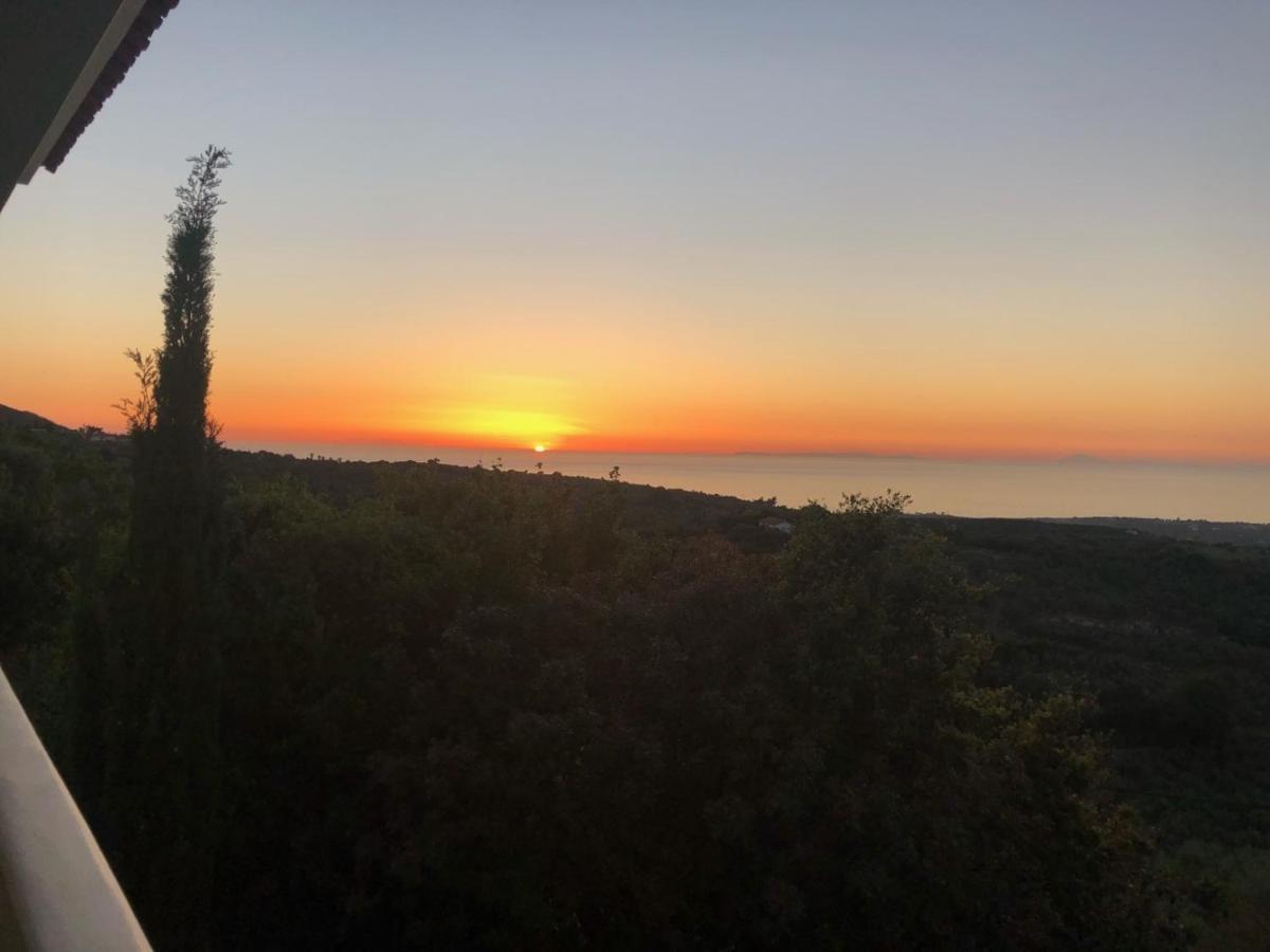 Vrises Kyparissia De Wandelboom别墅 外观 照片