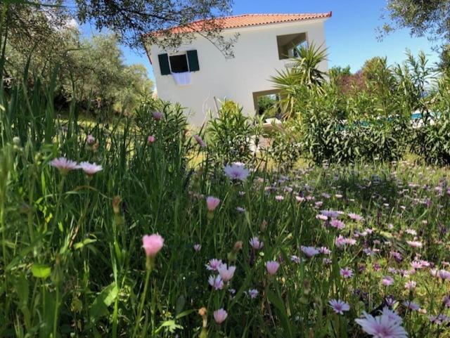 Vrises Kyparissia De Wandelboom别墅 外观 照片