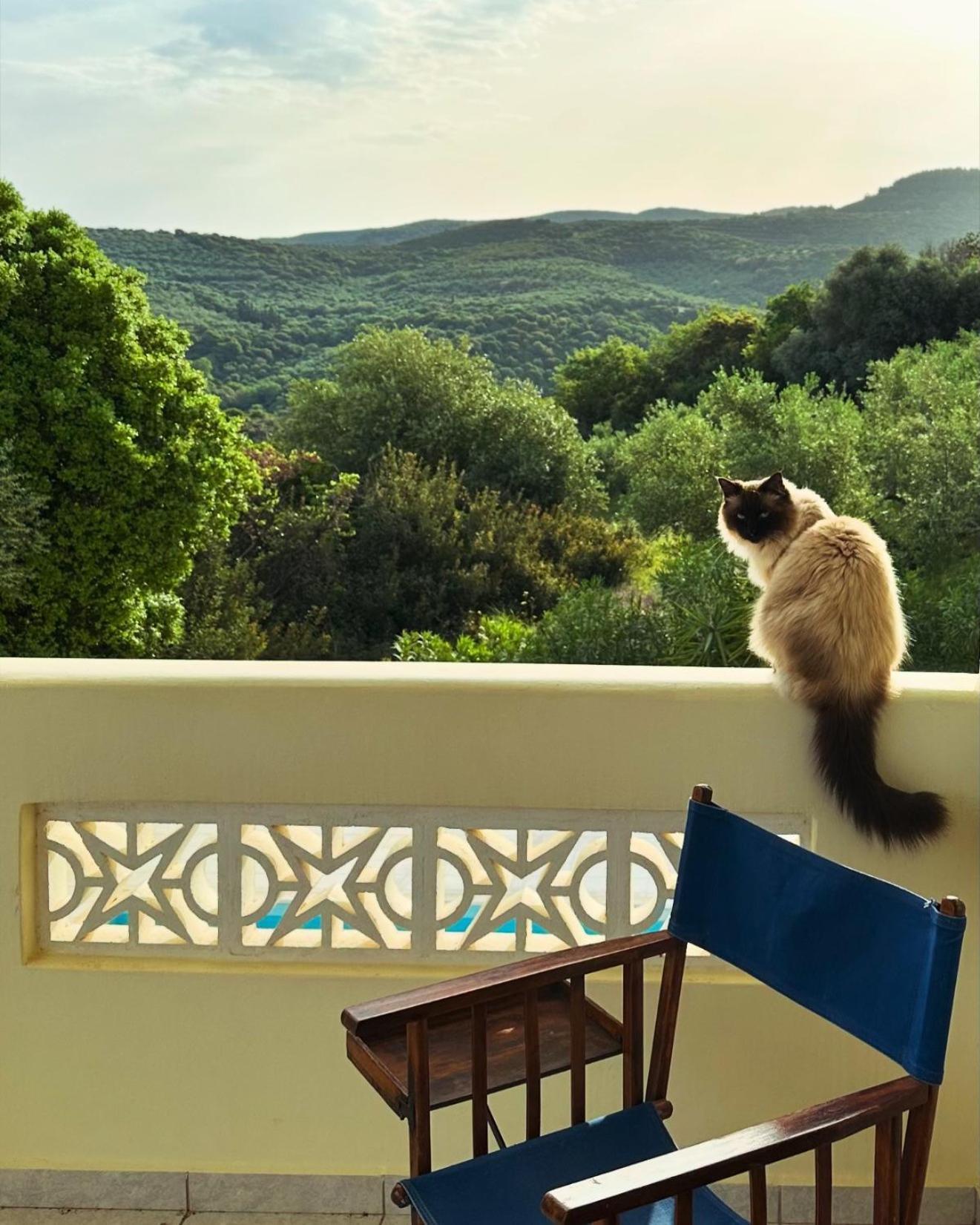 Vrises Kyparissia De Wandelboom别墅 外观 照片